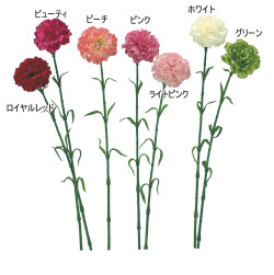 ������륫���͡������ñ��12����