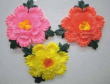�ܥ���֡���