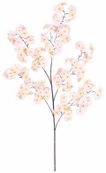 �����FL